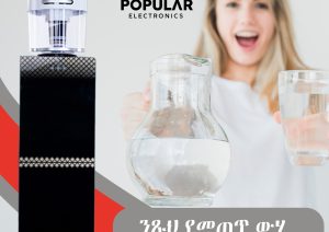 Popular Electronics Water Dispenser 2