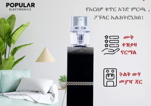 Popular Electronics Water Dispenser