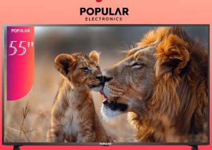 Popular Television 55 Inch
